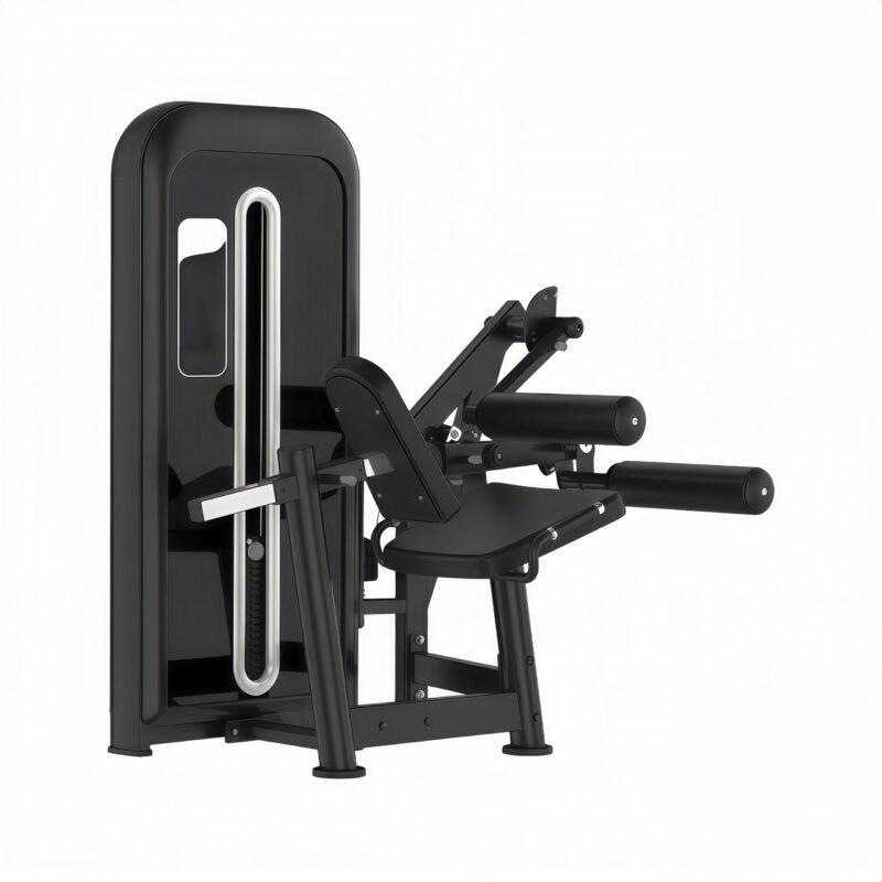 Seated Leg Curl
