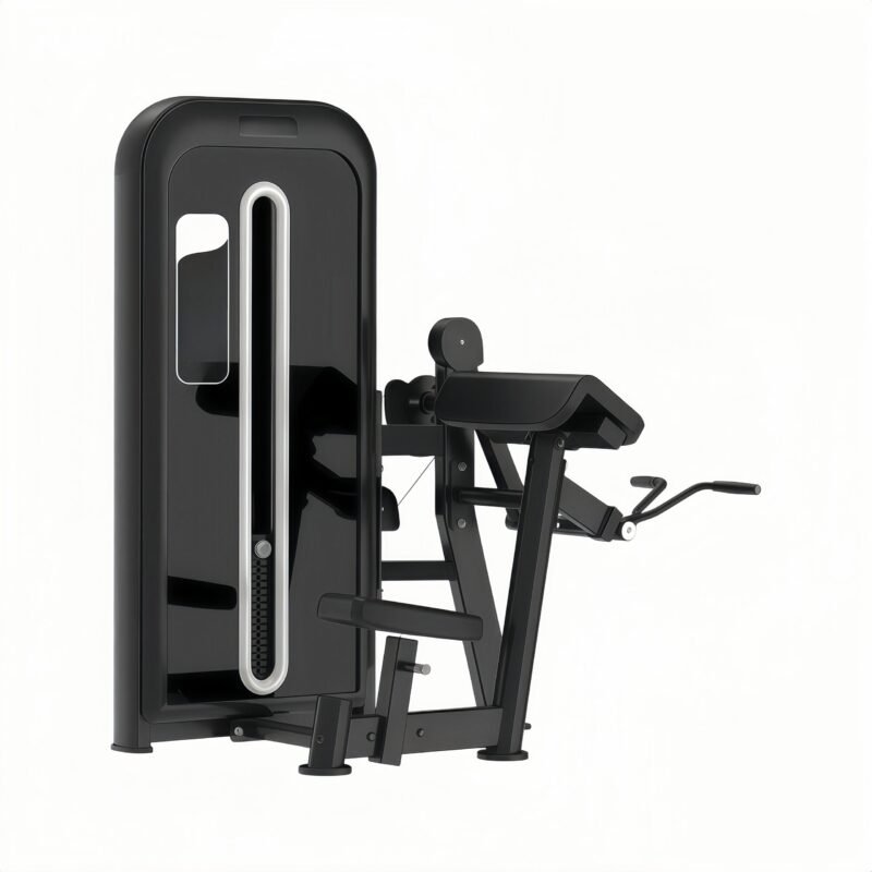 Biceps Curl