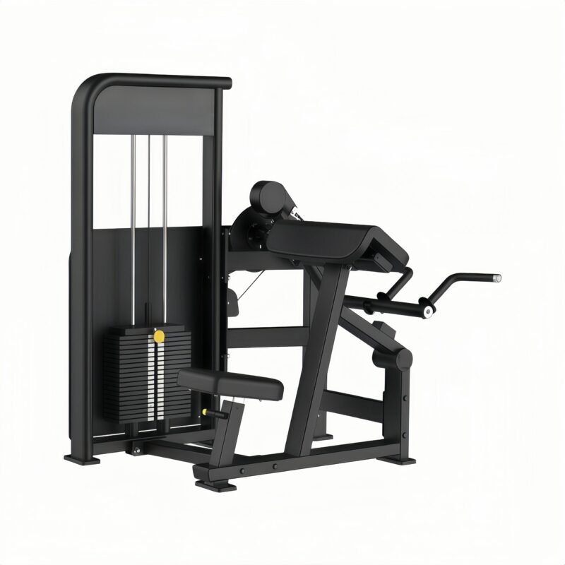 PressBiceps Curl /Tricepas