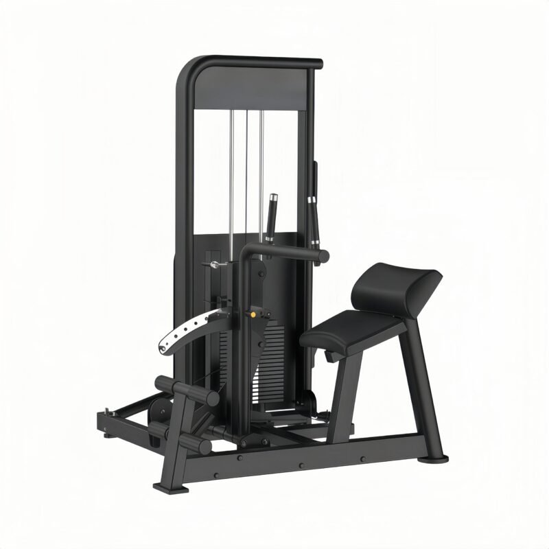 Lower Back/Abdominal Machine