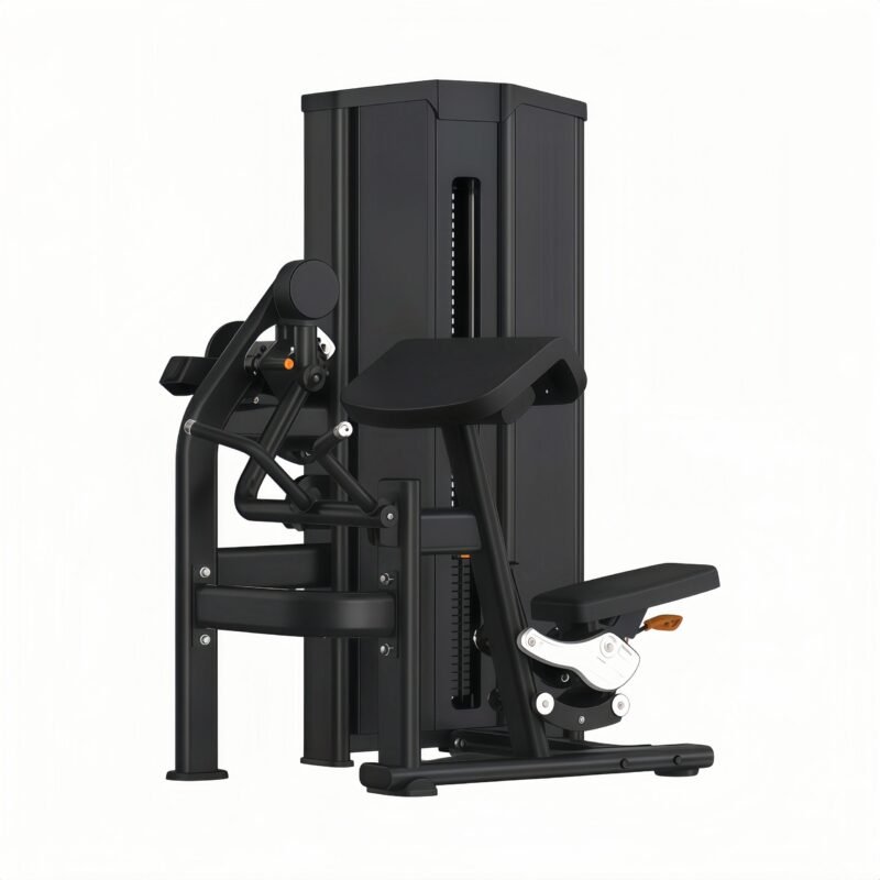 Biceps/Triceps
