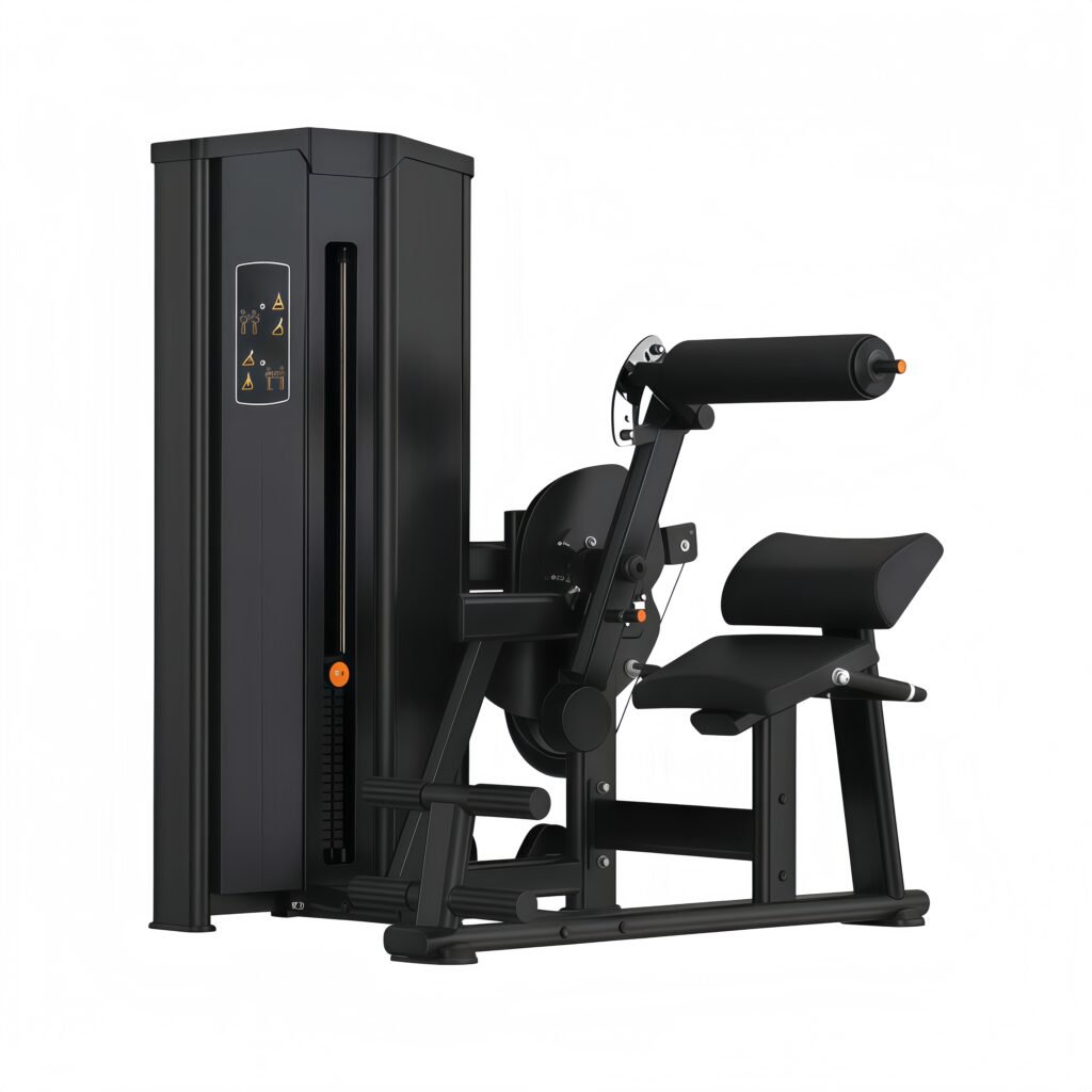 Lower Back/Abdominal Machine