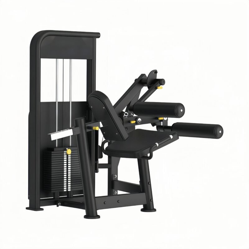 Seated Leg Curl