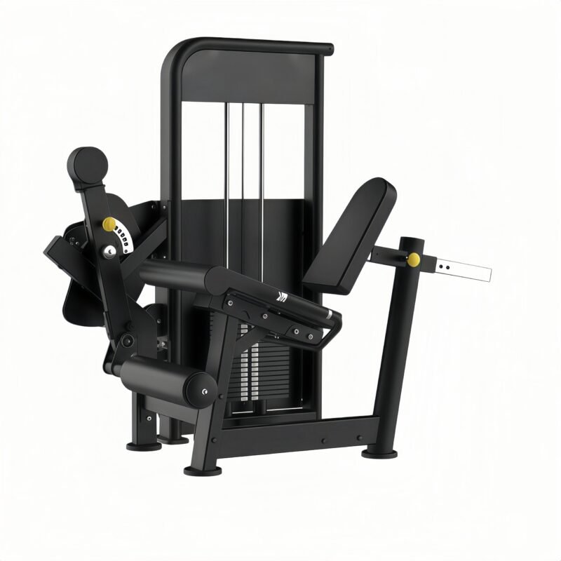 Leg Extension