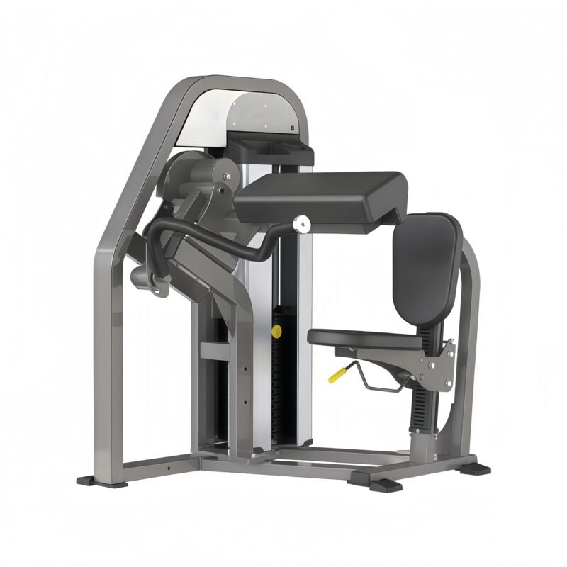 Biceps Curl
