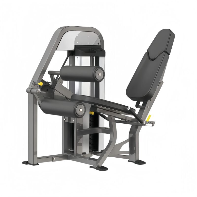 Seated Leg Curl