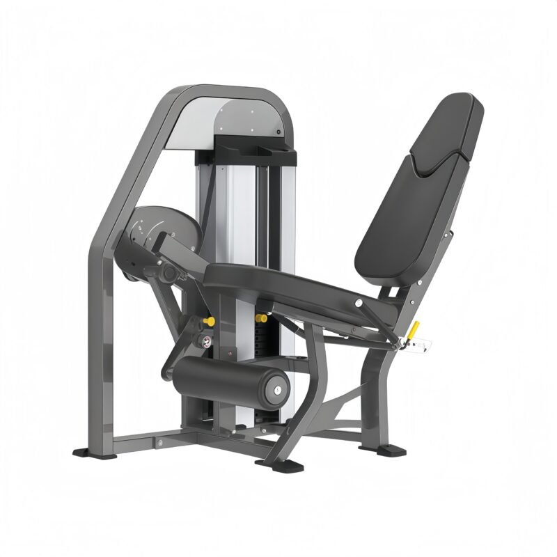 Leg Extension