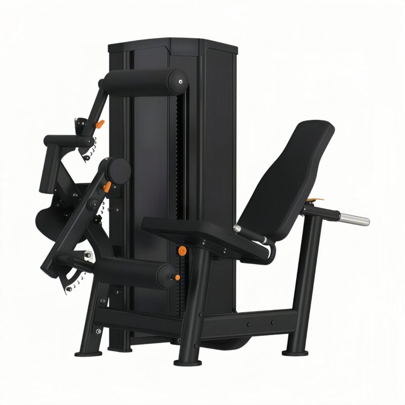 Seated Leg Curl