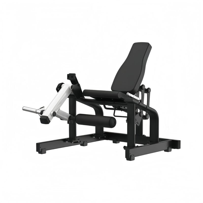 Seated Leg Extension