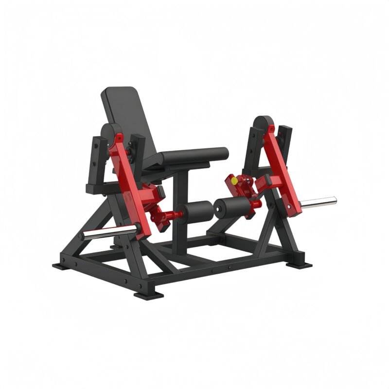 ISO-LATERAL LEG EXTENSION