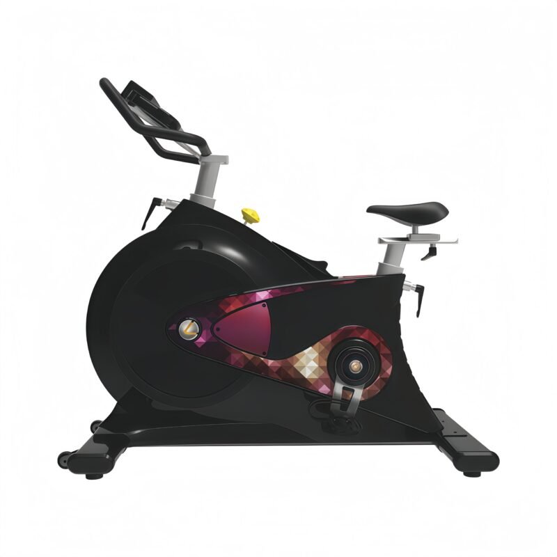 Spinning Bike