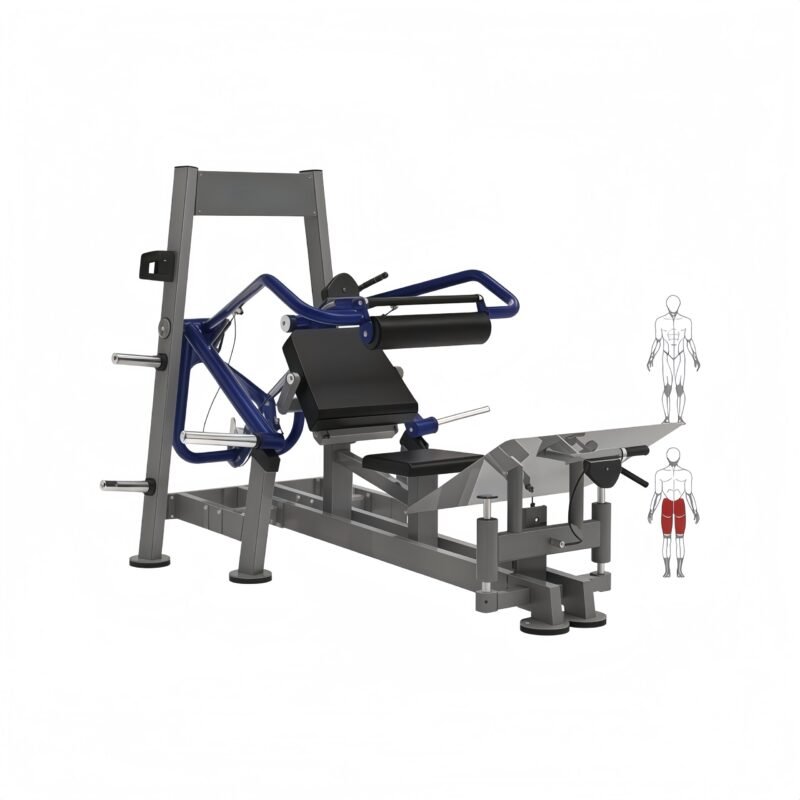 Hip Thrust