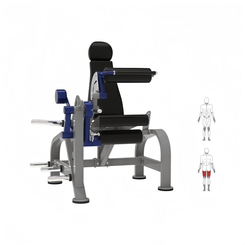 Seated Leg Curling