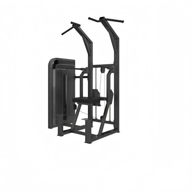 Dip / Chin Assist Machine