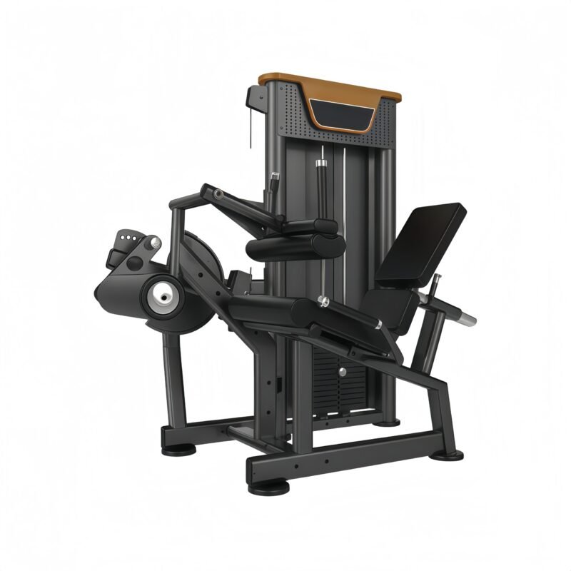 Seated Leg Curl