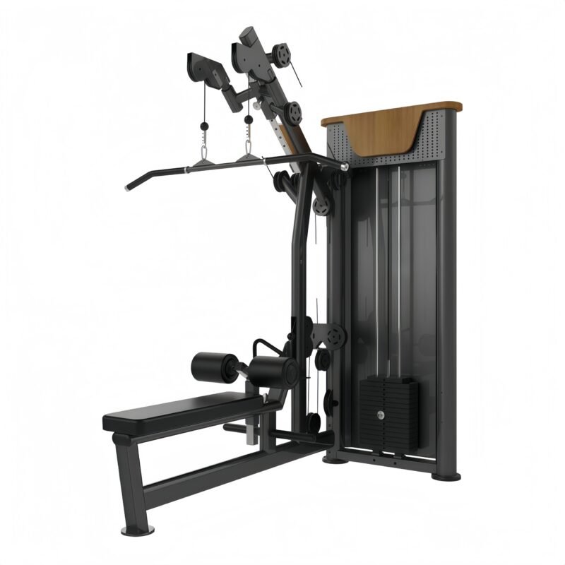 Pull Dowr/ Low Row