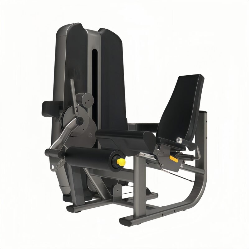 Leg Extension