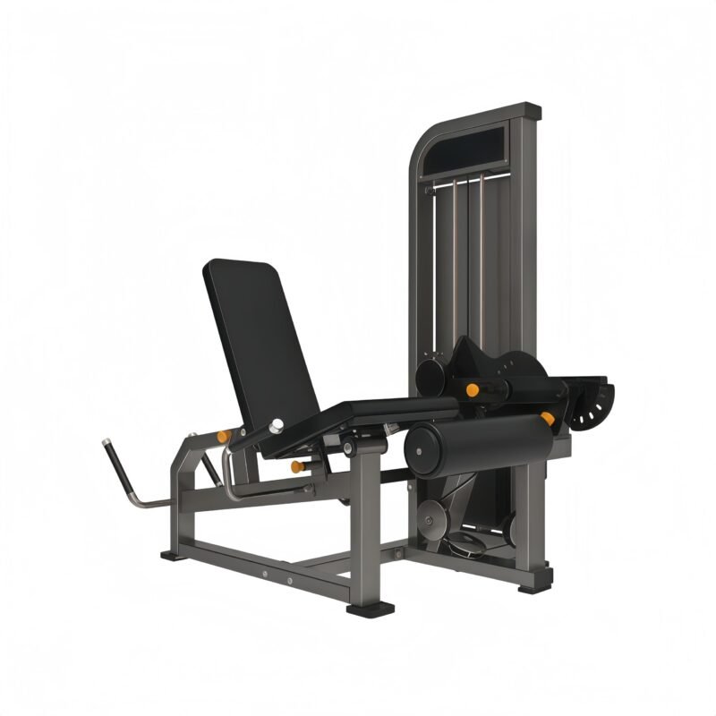 Leg Extension/ Prone Leg Curl