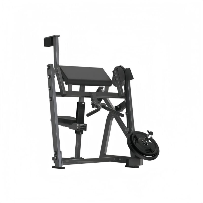 Seated Bicep Curl