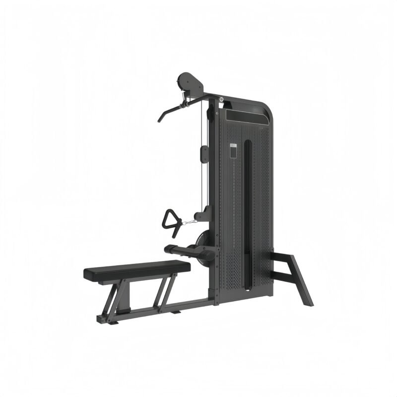 Pull Down/ Low Row