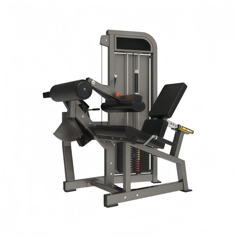 Seated Leg Curl