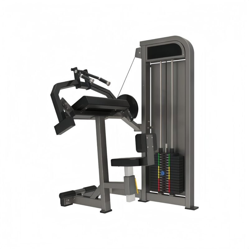 Triceps Extension